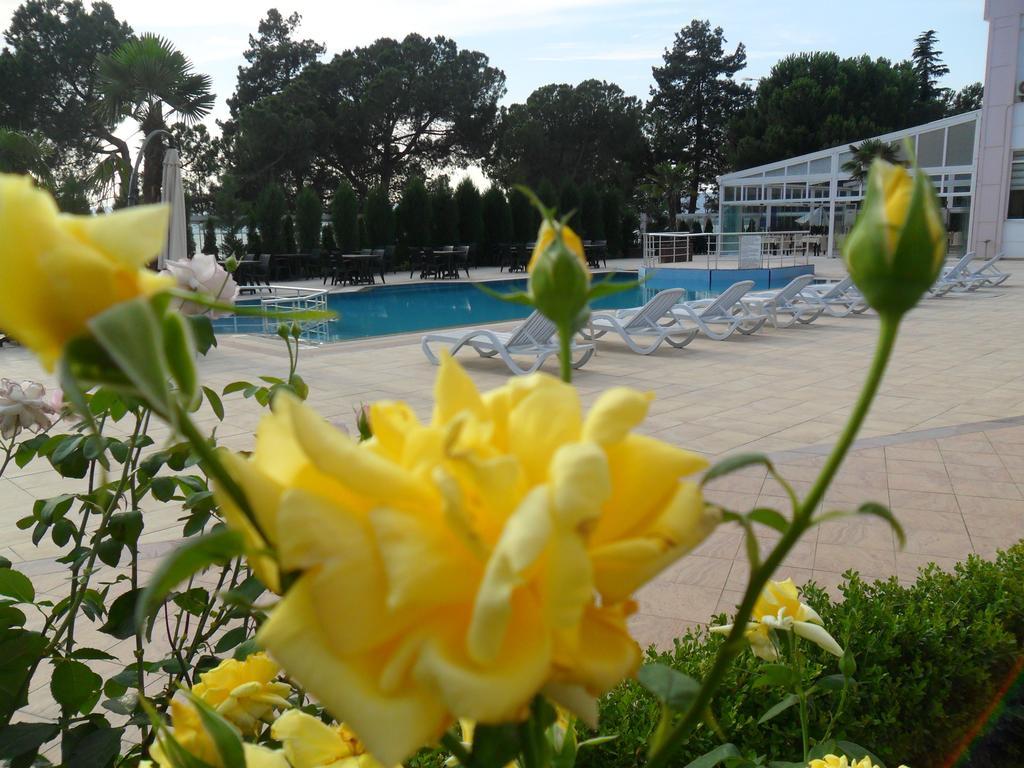 Grand Nicea Hotel Ιζνίκ Δωμάτιο φωτογραφία